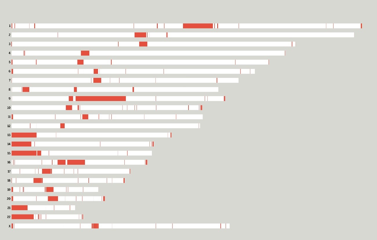 Fig. Each bar represents one of the 23 chromosomes of the genome sequenced by the T2T Consortium. The previously missing sequences that the T2T Consortium resolved are in red.