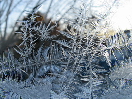 Ice crystals forming on a window