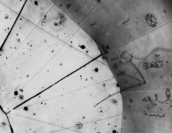 Neutrino in a hydrogen bubble chamber