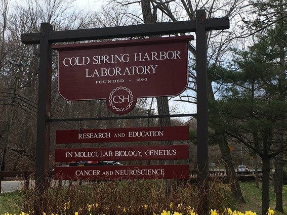 Cold Spring Harbor Laboratory.