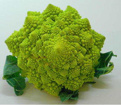 The Romanesco Cauliflower.