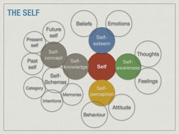 Dimensions and sub-dimensions of the self.